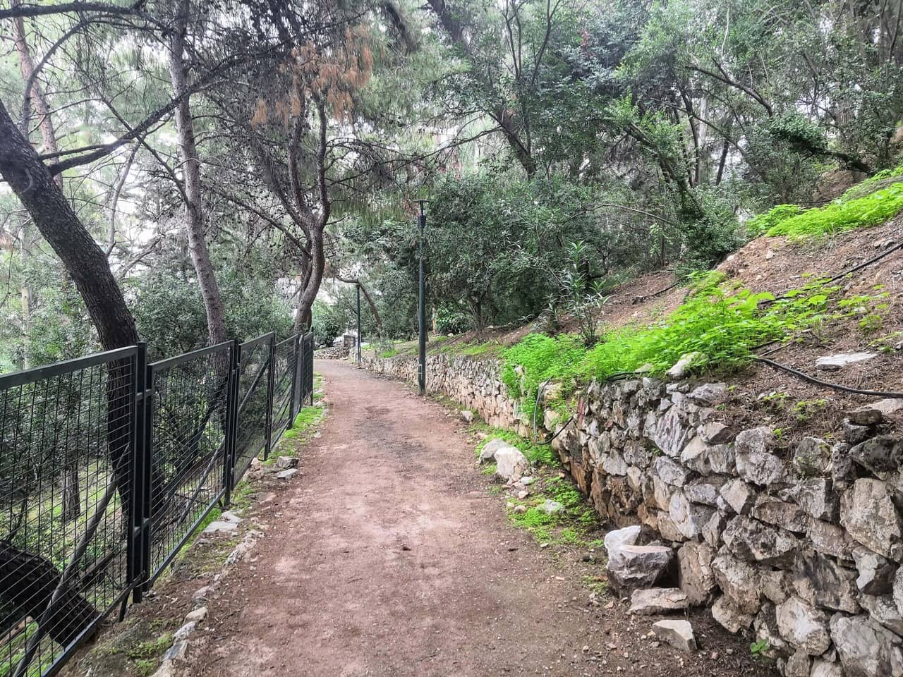 Green pathway on a hillside