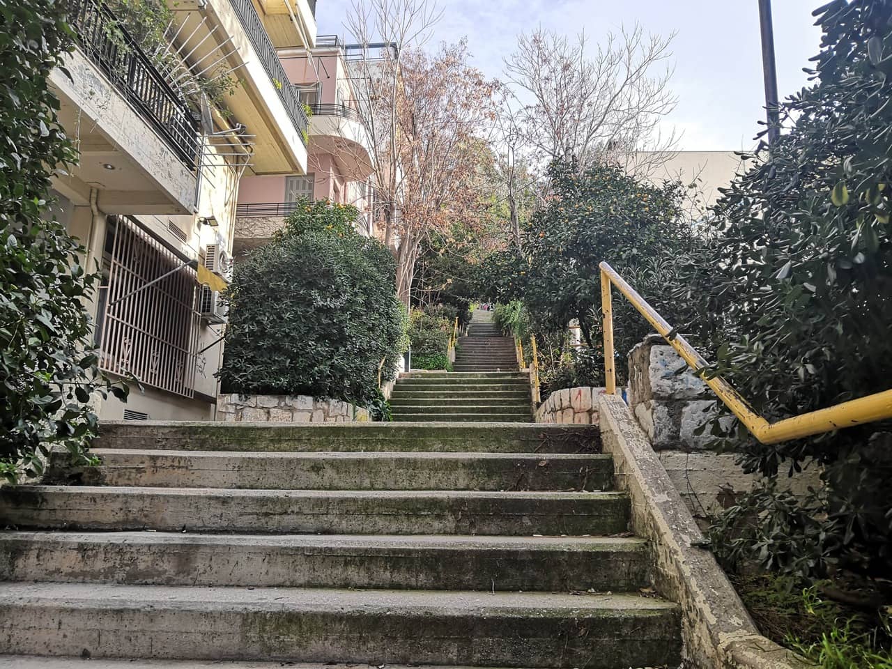 Urban staircase with bushes